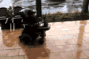 Kid Wheelchair Drifting — Memes meme