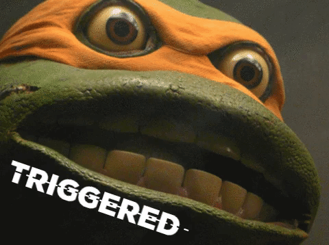 Triggered ninja turtle — Reaction meme