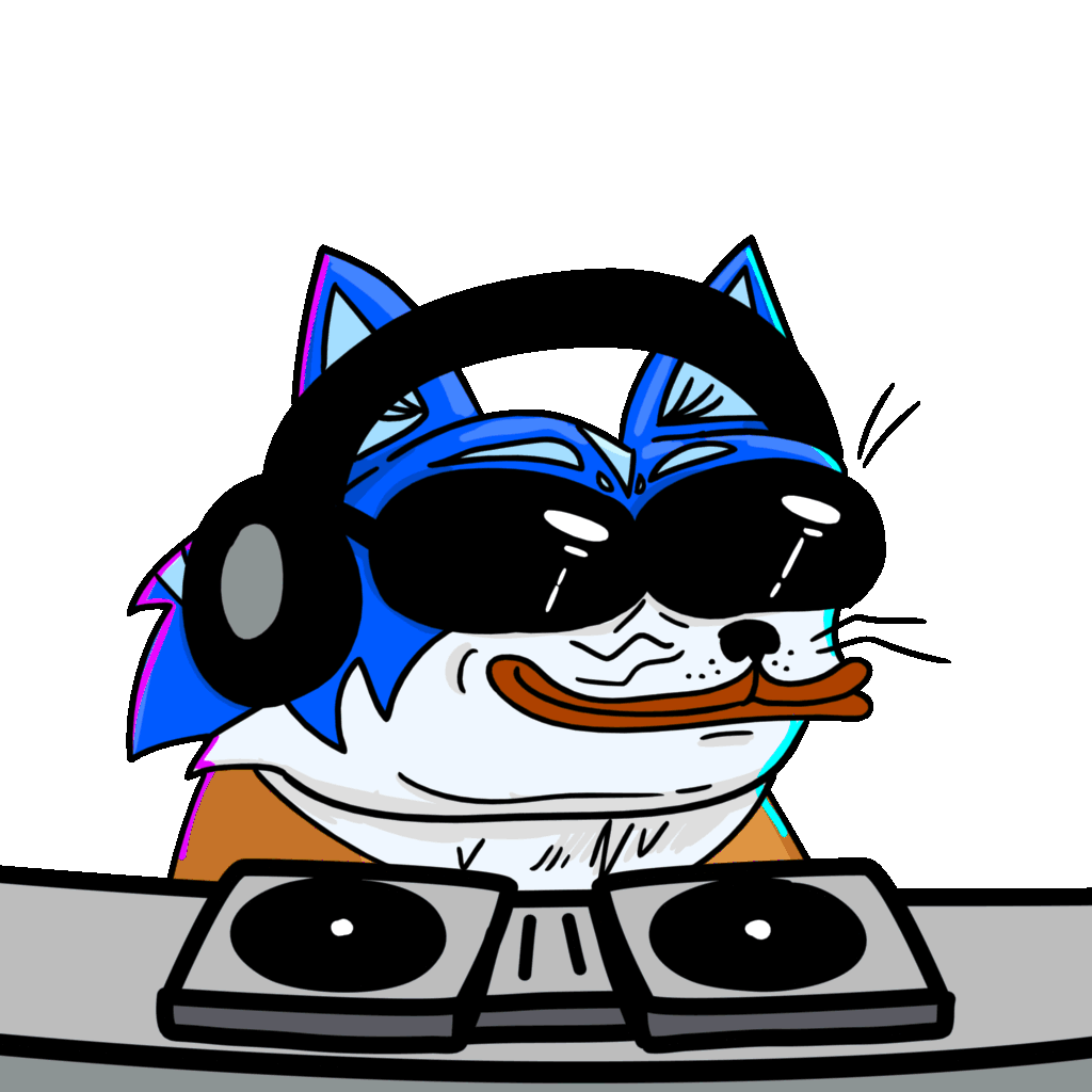 Toshi cat dj spinning — $TOSHI meme