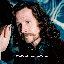 Sirius Black That's Who We Really Are — Reaction meme