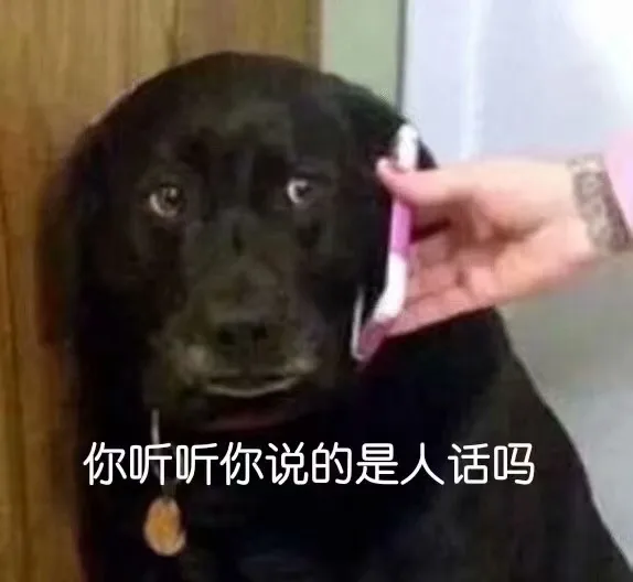 你说的是人话吗 — Reaction meme