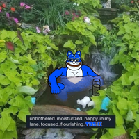 Toshi cat unbothered and moisturized — $TOSHI meme