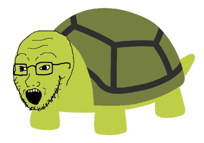 Soiboi turtle — Reaction meme