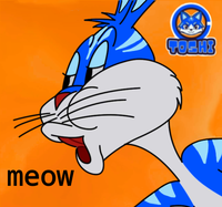 Toshi cat nooo meow — $TOSHI meme