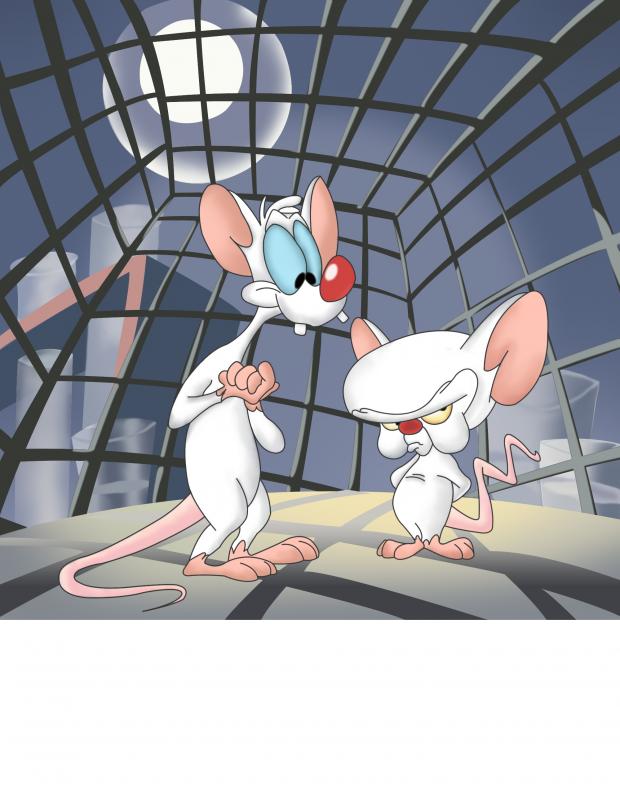 Pinky and the brain meme template — Templates meme