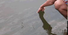 Hand Fishing Expert — Memes meme