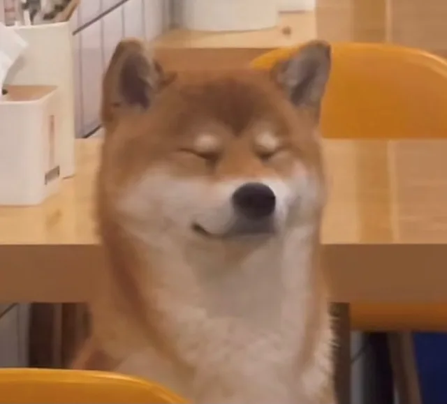 Doge Eye Closed — Reaction meme