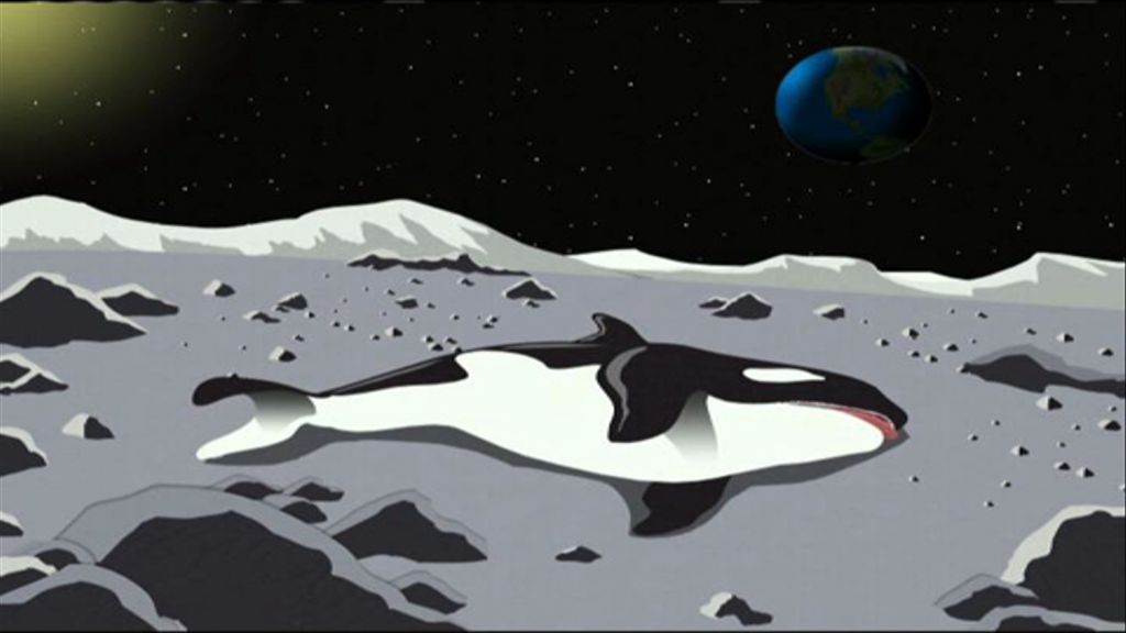 Whale on moon — Reaction meme