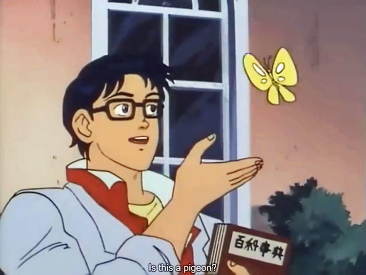 ANIME BUTTERFLY MEME meme template — Templates meme