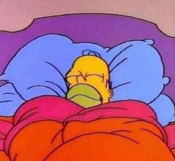 Homer Simpson sleeping peacefully meme template — Templates meme