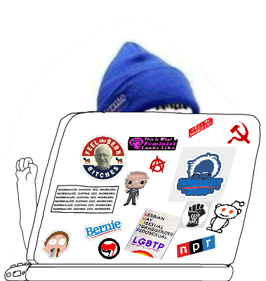 Zoomer woke throwing laptop — Zoomer meme