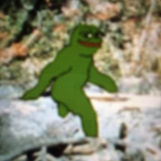 Pepe bigfoot patterson footage — Pepe meme