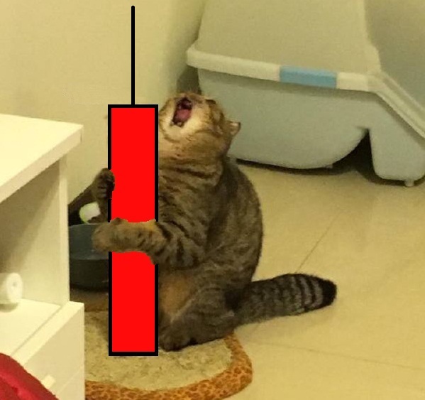 Cat holds red stock candlestick — Reaction meme