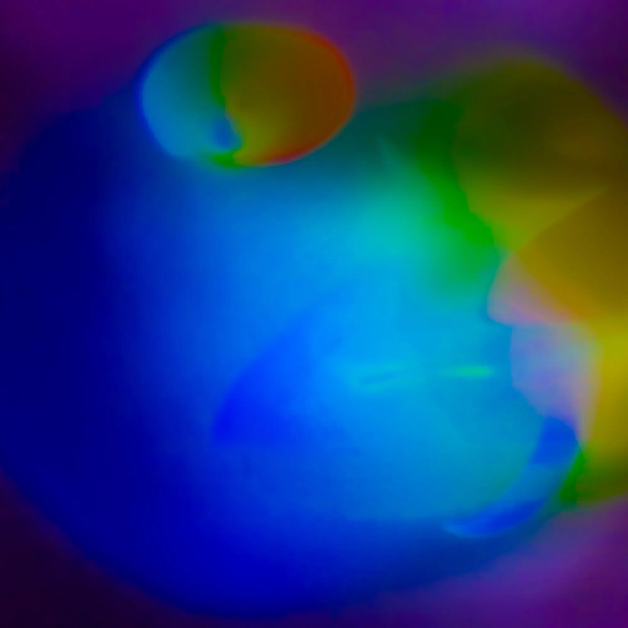 FishBow #4: All Coming Into Focus — Trippy meme