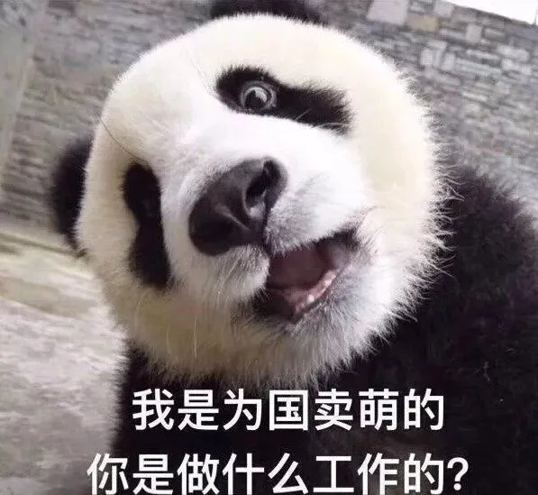 为国卖萌的熊猫 — Reaction meme