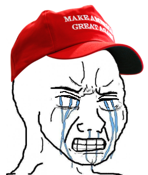 Wojak maga crying — Wojak meme