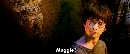 Harry Potter Muggle? — Reaction meme