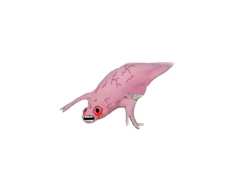 Pink wojak newt — Wojak meme