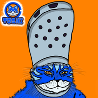 Toshi cat with croc shoe on head — $TOSHI meme