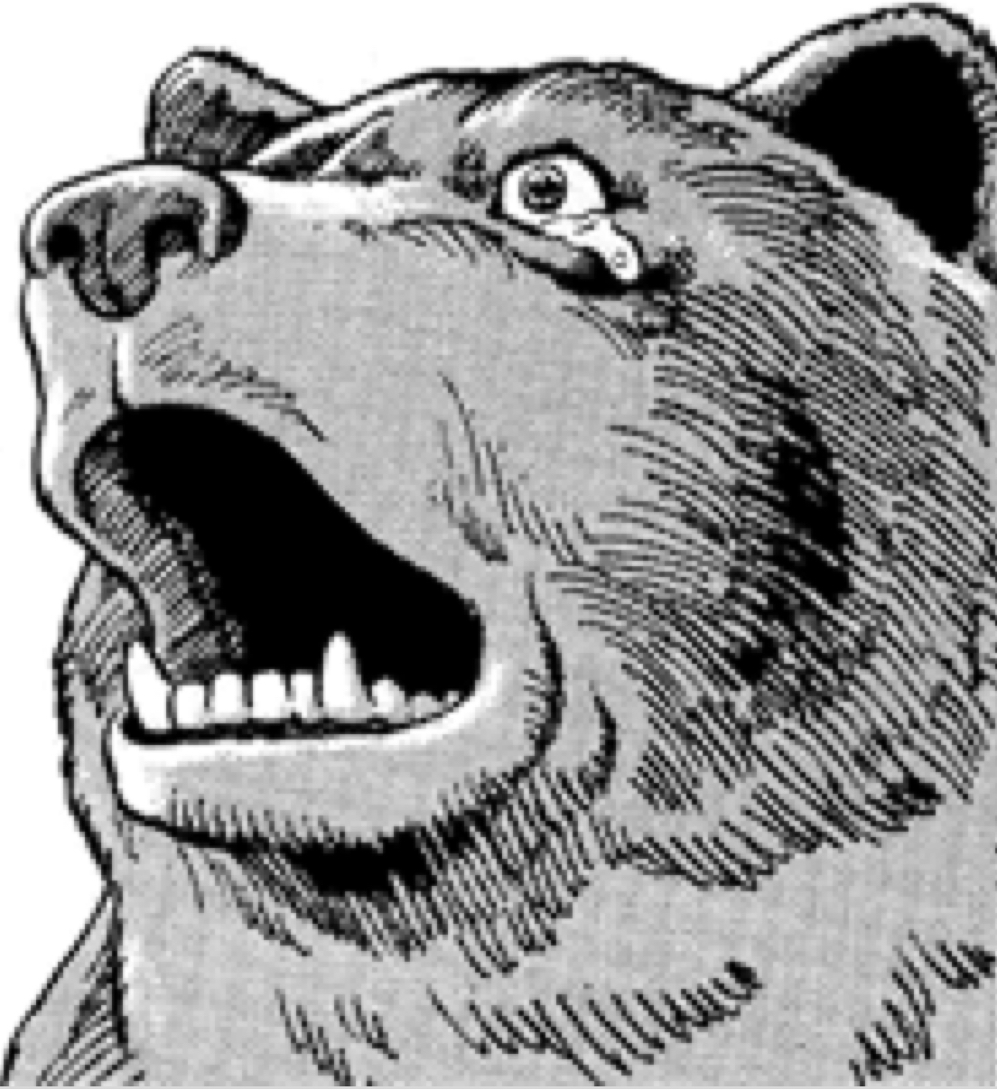 Terrified comic bear — Reaction meme