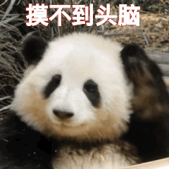 摸不到头脑 — Reaction meme
