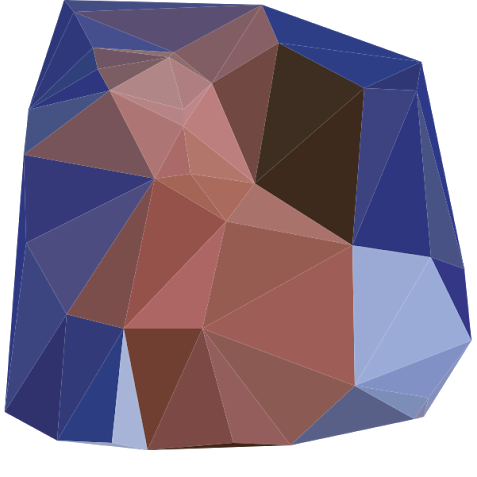 Geodesic costanza — Reaction meme