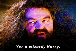 Hagrid Yer A Wizard Harry — Reaction meme