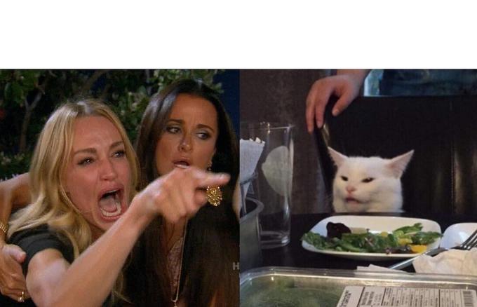 Woman Yelling At Cat meme template — Templates meme