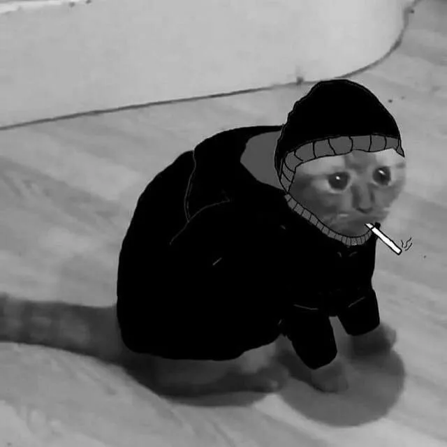 Doomer cat — Reaction meme