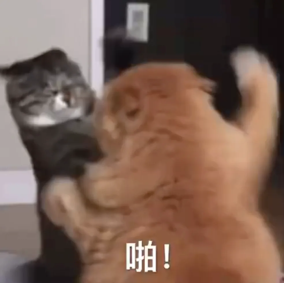 啪 — Reaction meme