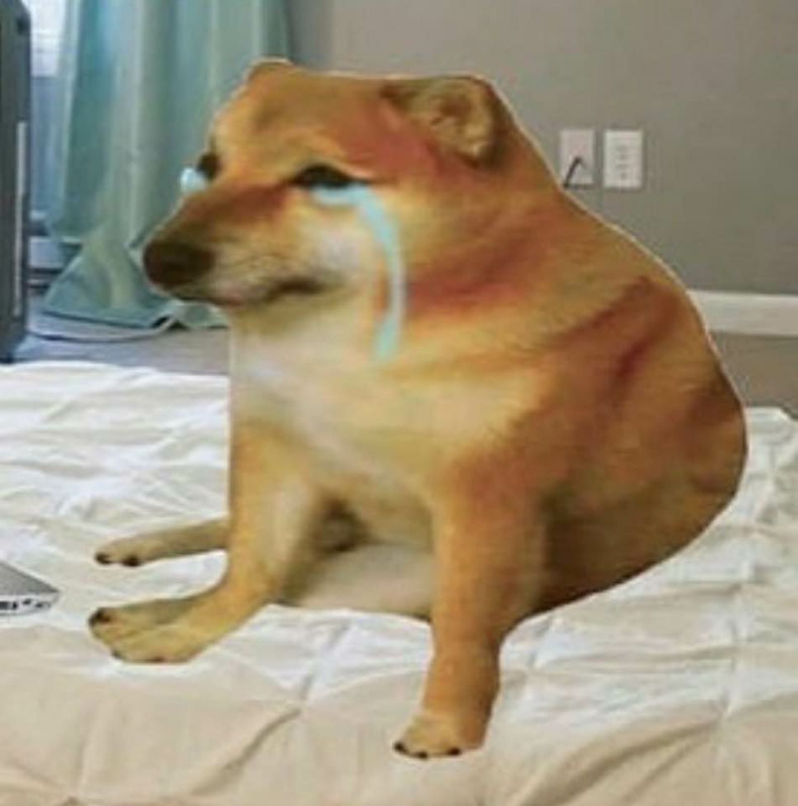 Doge crying on bed — Reaction meme