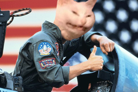 Confused angry cat topgun thumbs up — Reaction meme