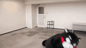 Kuma Bear Angry — Reaction meme