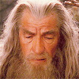 Gandalf Shaking Head — Reaction meme