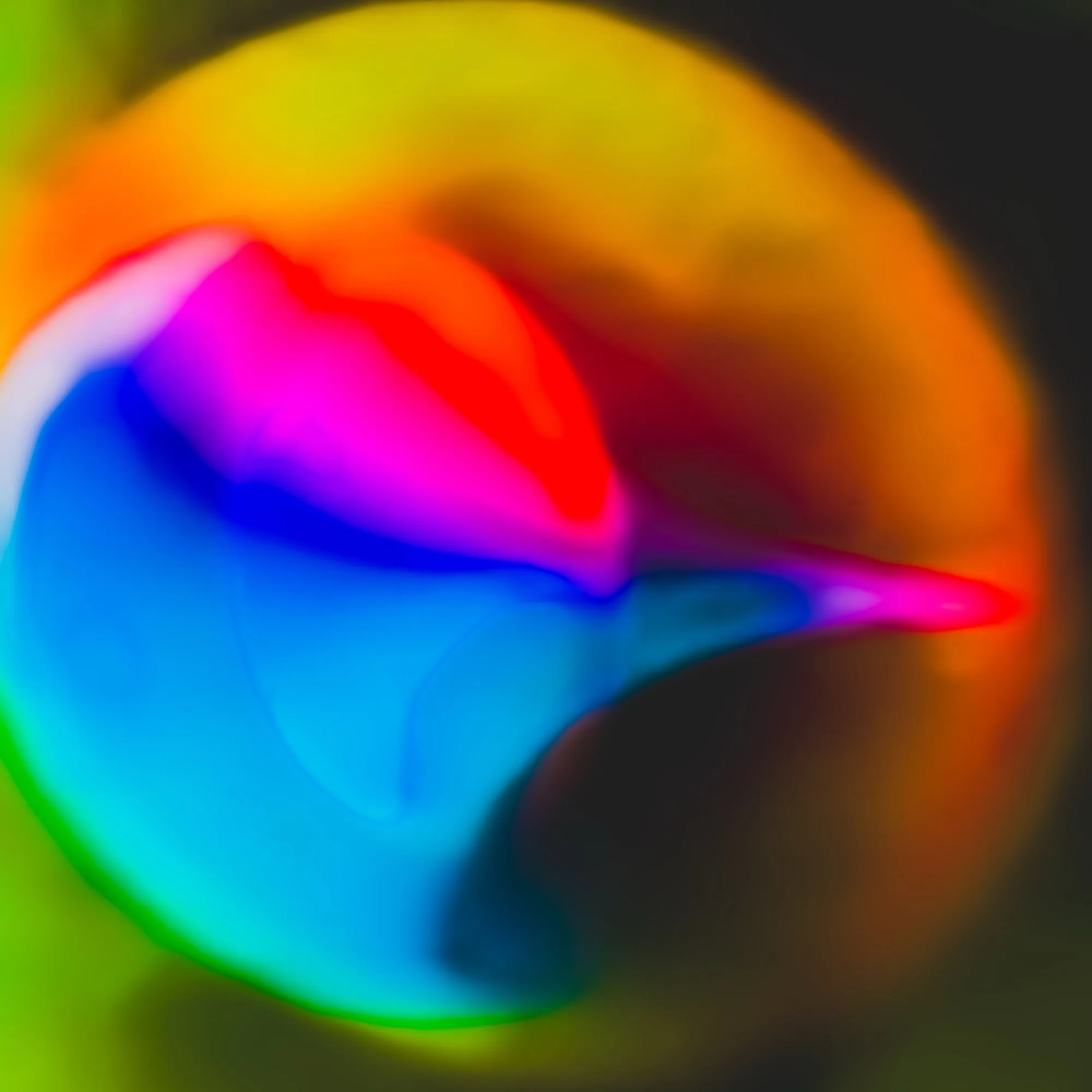 HummingBow #1: Hovering Prism Heartbeat — Trippy meme