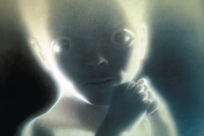Close-up of the Star Child Looking Forward 2001 — Memes meme
