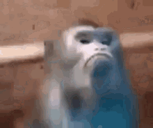 Monkey has had enough — Reaction meme