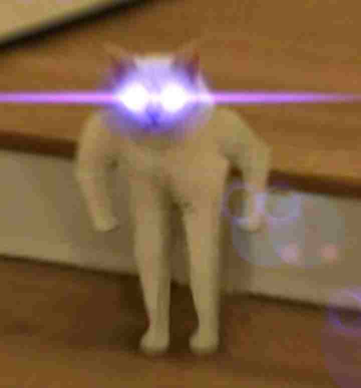 Standing cat glowing eyes — Reaction meme
