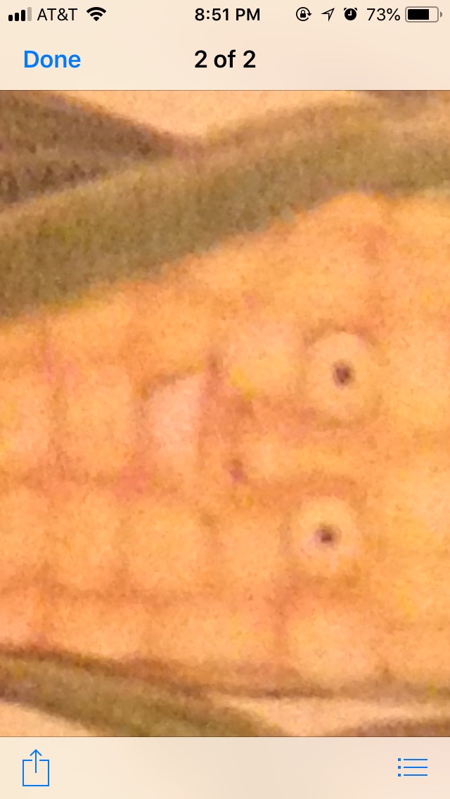 Creepy corn — Reaction meme