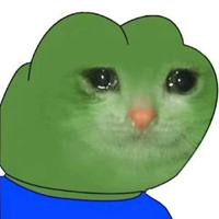 Pepe sad cat face — Pepe meme