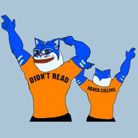 Toshi cat zyzz brah not selling — $TOSHI meme