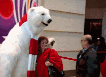 Polar Bear Pet Bald Guy — Memes meme