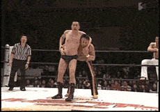 Wrestling Fun — Memes meme