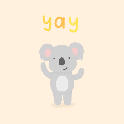 Koala Yay Animation — Reaction meme