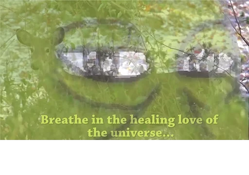 Healing love meditation Groyper sticker — Sticker Packs meme