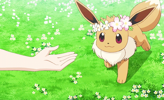 Eevee Playing — Reaction meme