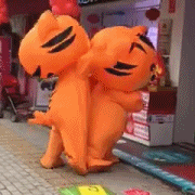 Tiger Fighting — Reaction meme