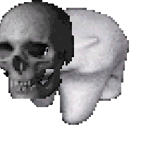 Walking polar bear spooky skull — Reaction meme
