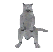 Cat dancing by himself — Reaction meme