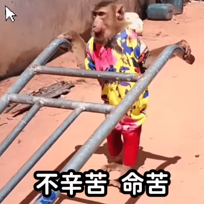 不辛苦 命苦 Not Tired Just Hard Life — Memes meme